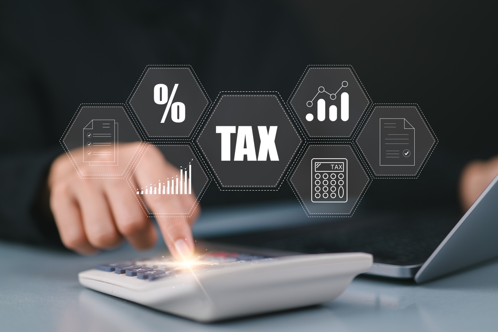 e filing,,businesswoman,using,a,laptop,to,file,taxes,personal,income,